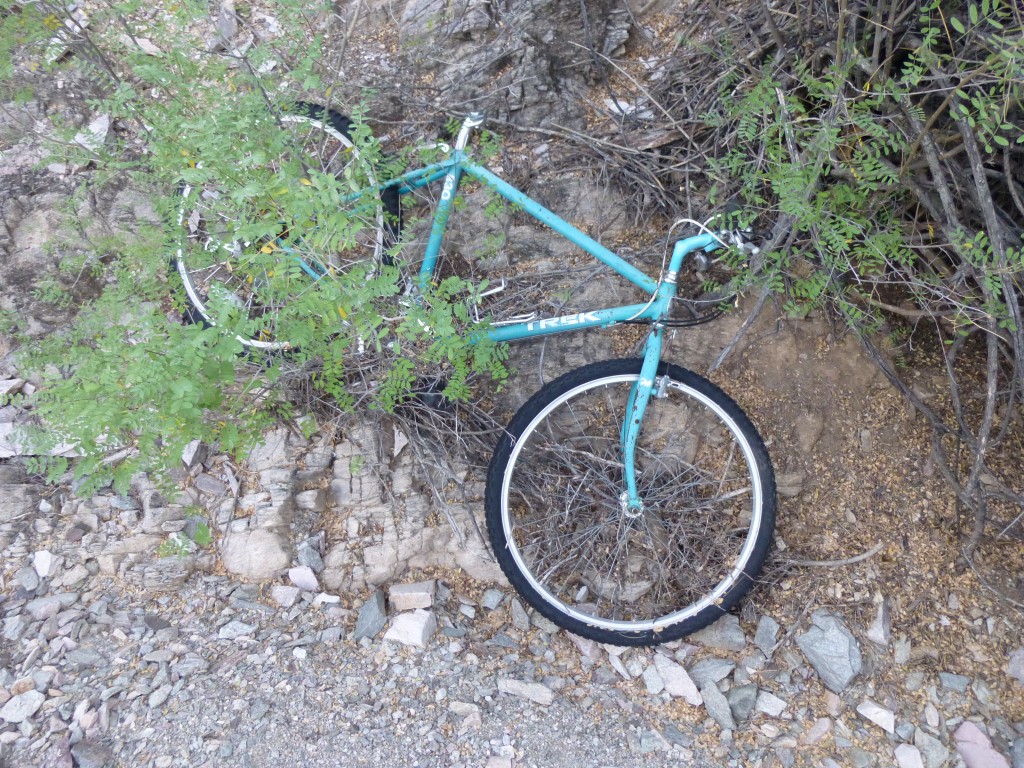 Dead bike