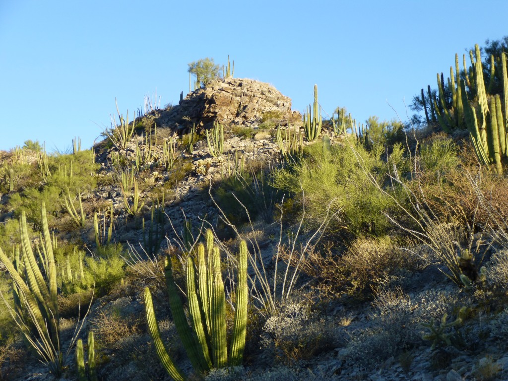 Approaching the top of Peak 2310