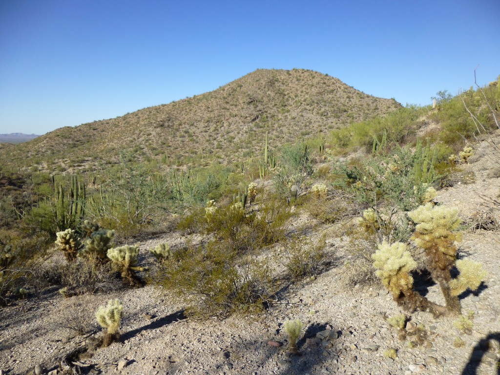 Looking from the pass, west to Peak 2284