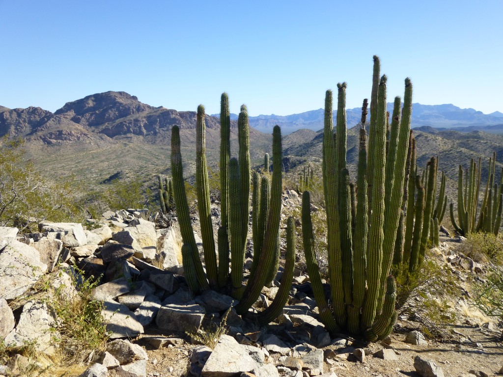 On the summit of Peak 2284