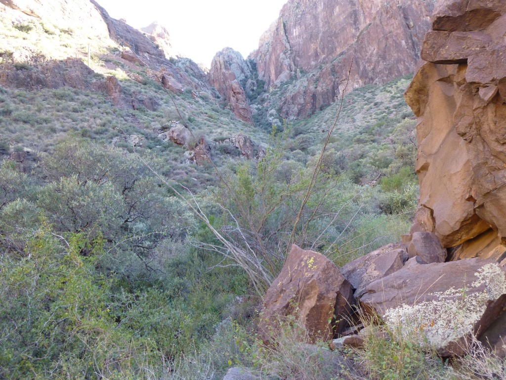 Looking back up my canyon