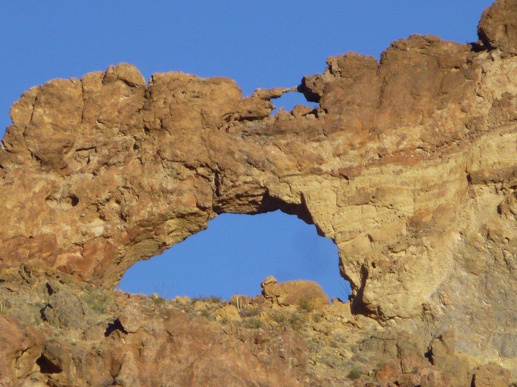 The double arch