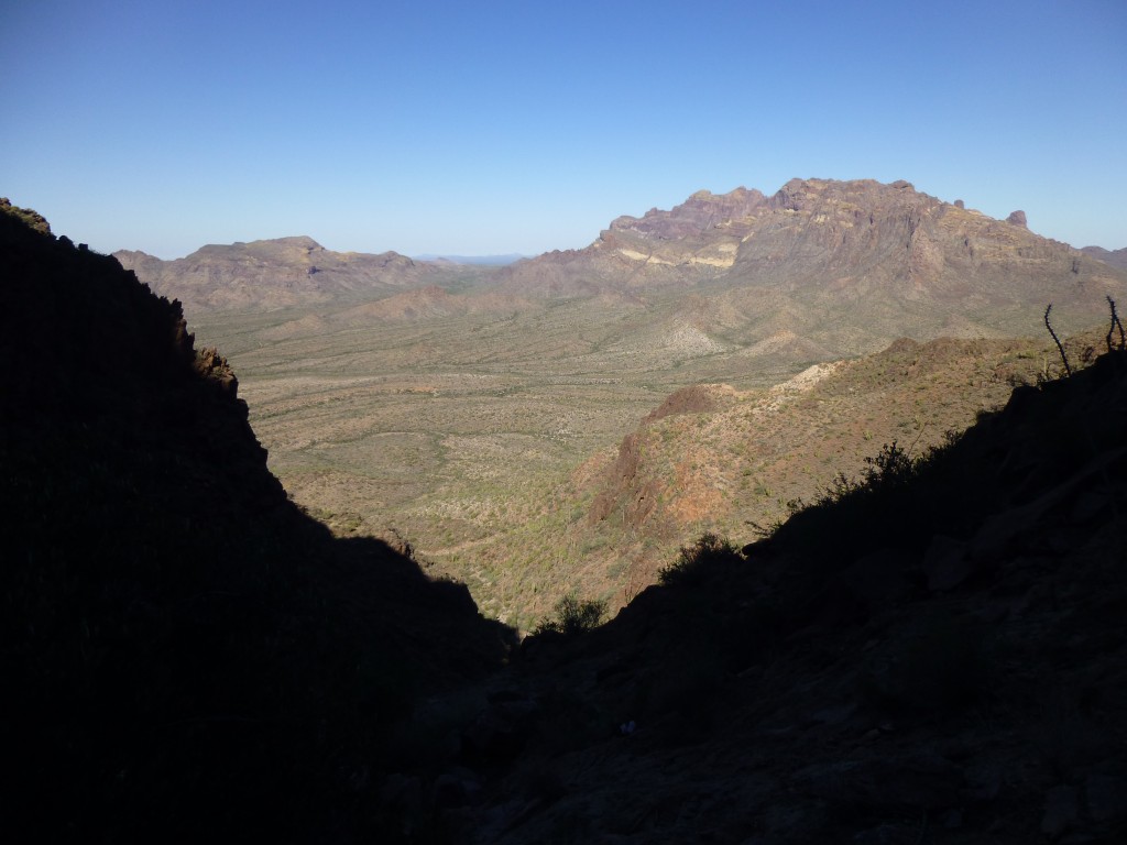 From high up in the canyon, looking north to the Mt. Ajo complex