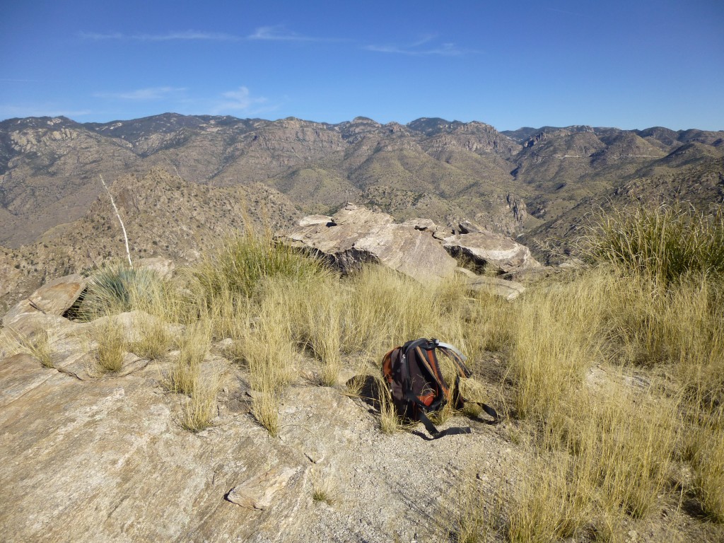 Looking north on the summit