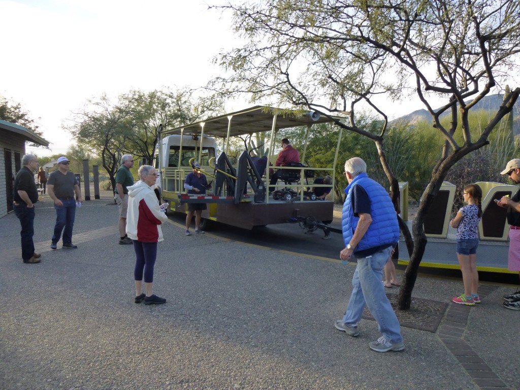 The Sabino Canyon shuttle