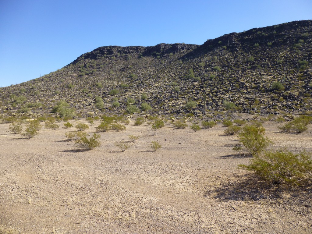 Peak 1649 - the highest point is at the left end of the ridge