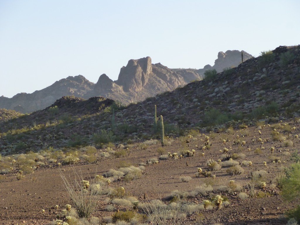 A glimpse into the central part of the Aguilas