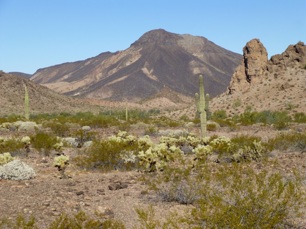 A view to the north, to the range high point.