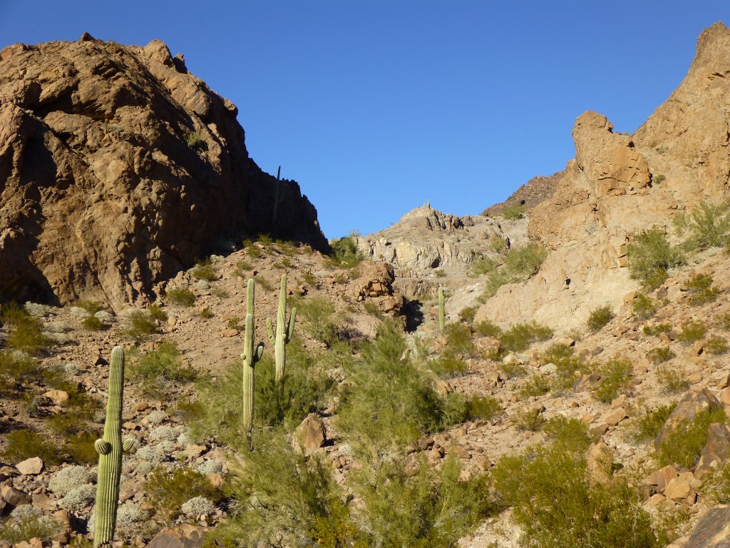 The gully which gave us access to Thompson Tank