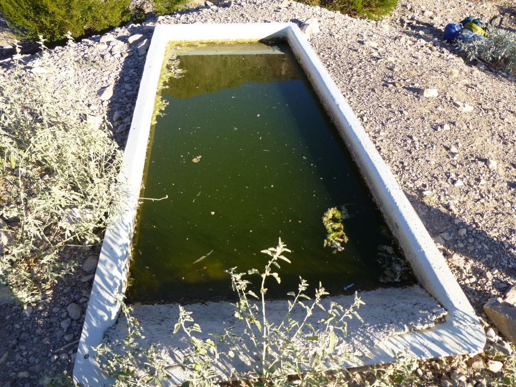 The concrete drinker where we got our water