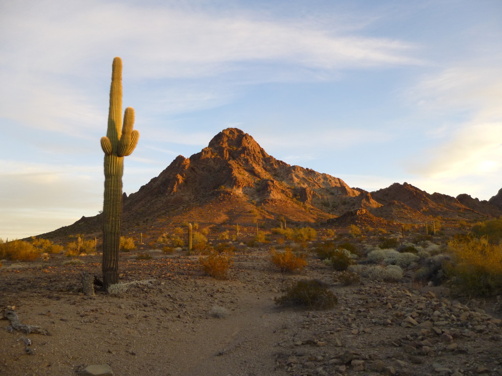 Sunrise in the Aguila Mountains