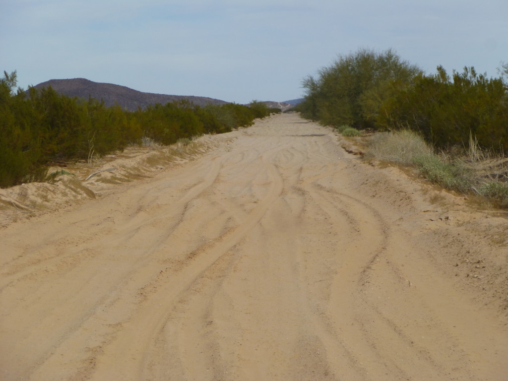 The northern branch of the Red Point Road