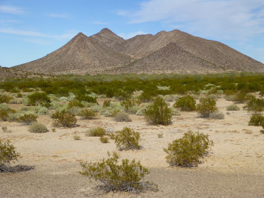 Looking north to Peak 1214