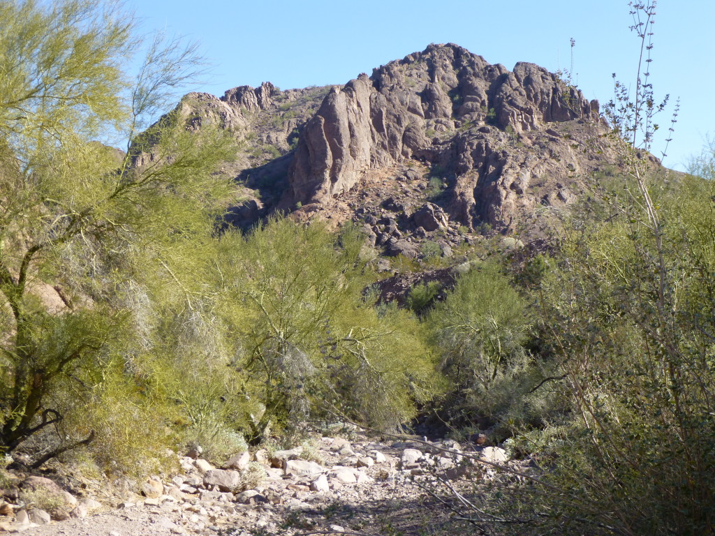 In the central Aguila Mountains