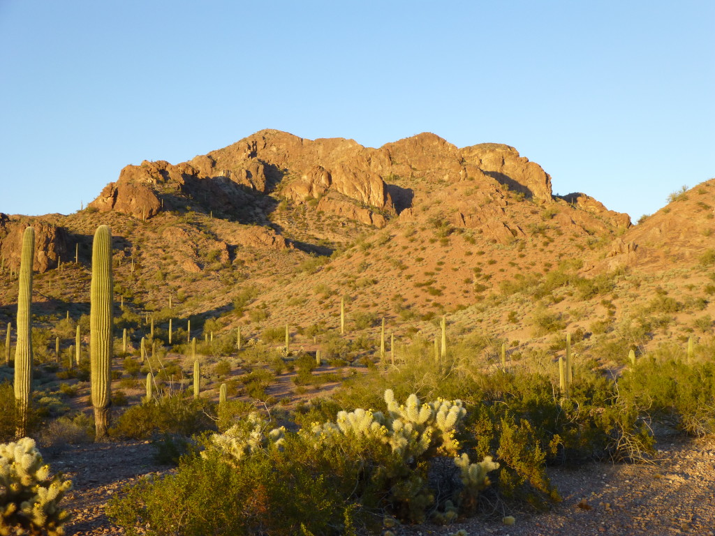 Looking northwest to Peak 2835, the highest of the 16 peaks in the quad