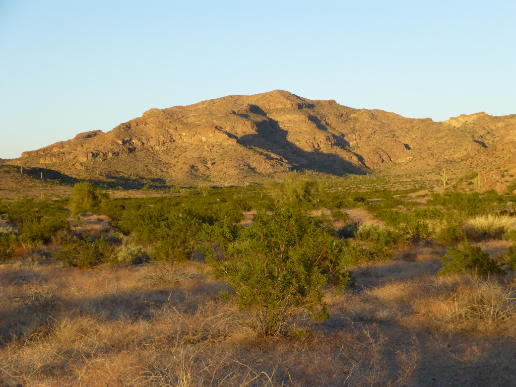 Looking northeast to Cap Benchmark