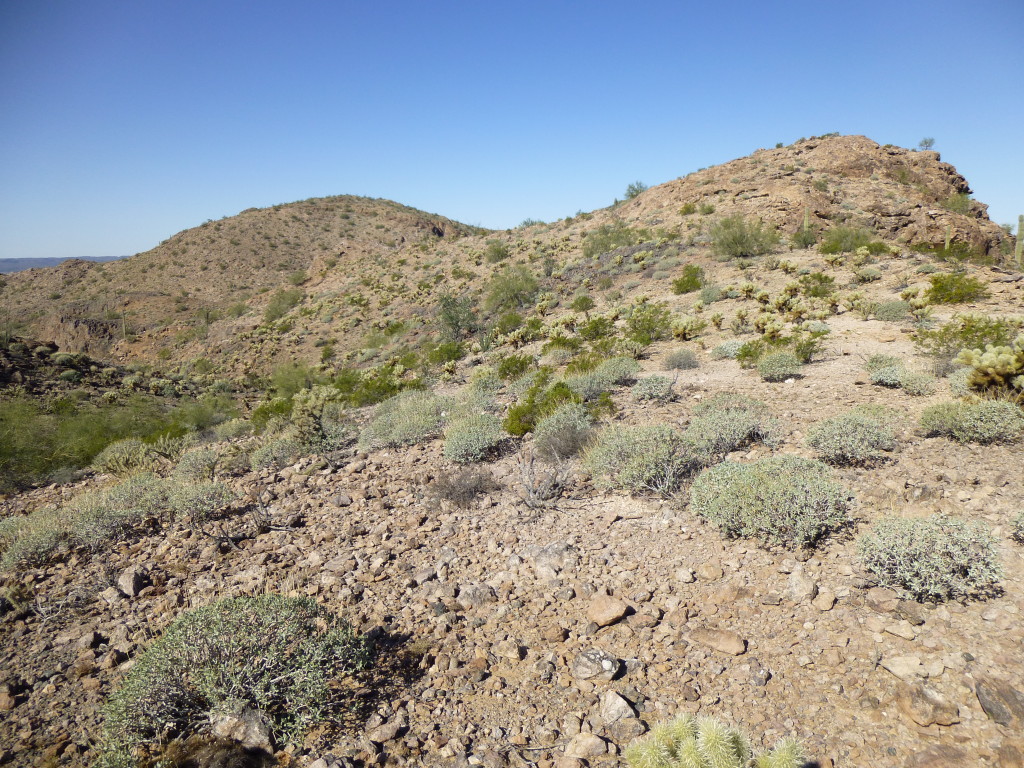 Along the ridge