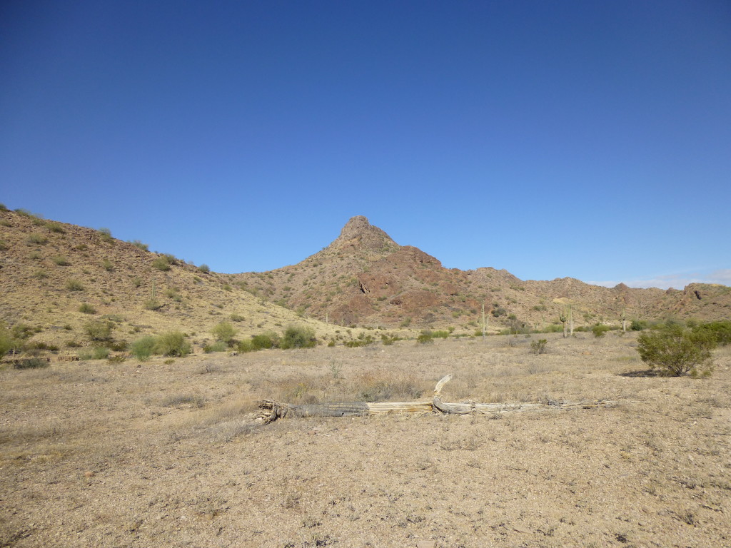 Desert scenery