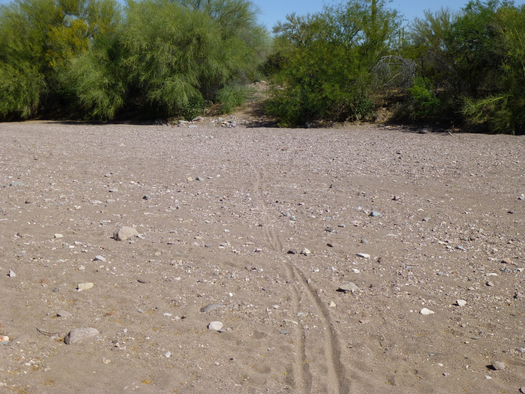 A wide, sandy wash