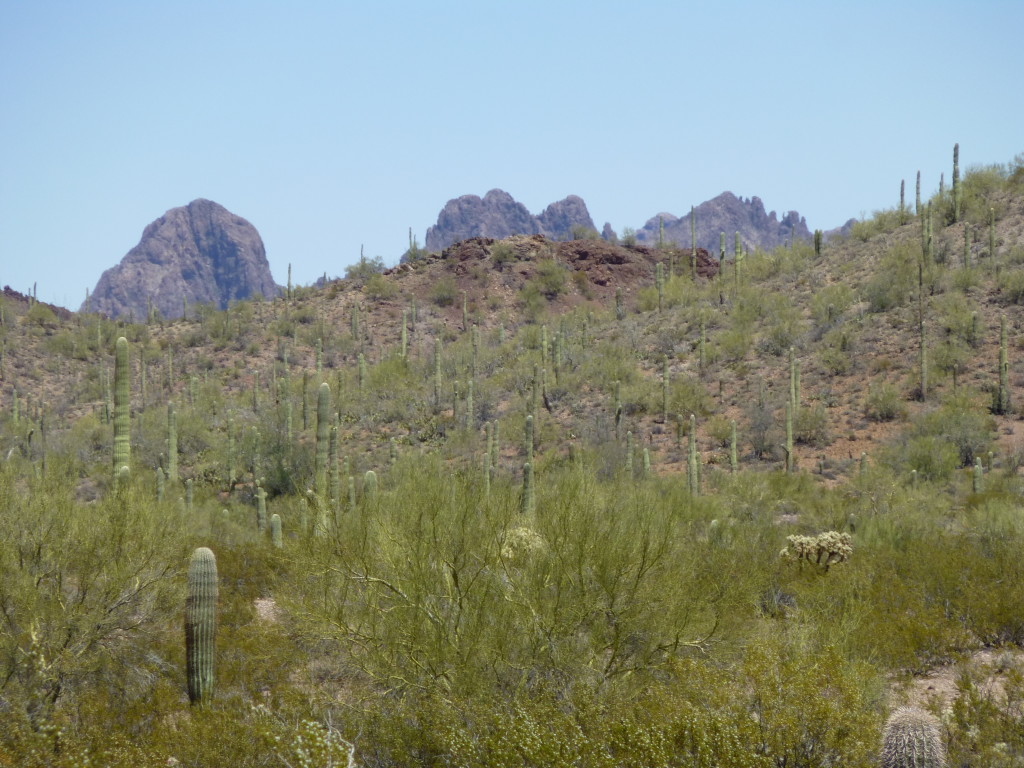 A look at Dragon's Tooth