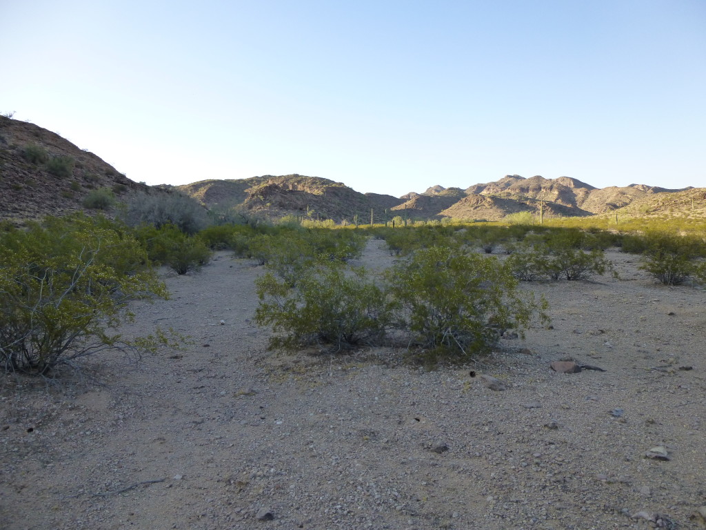 Looking south towards Peak 1620.