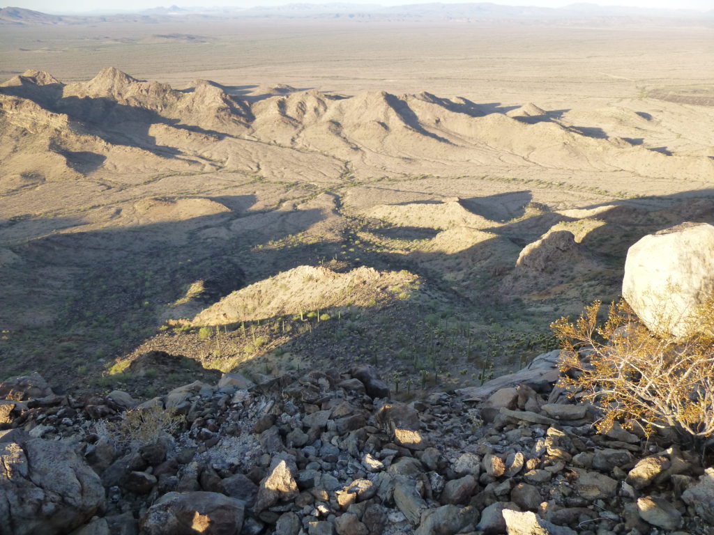 A look towards Ajo