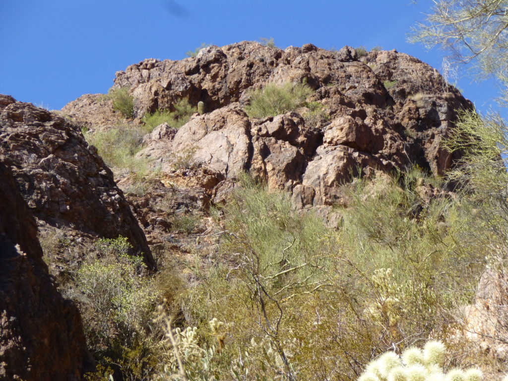 Looking farther up the ridge