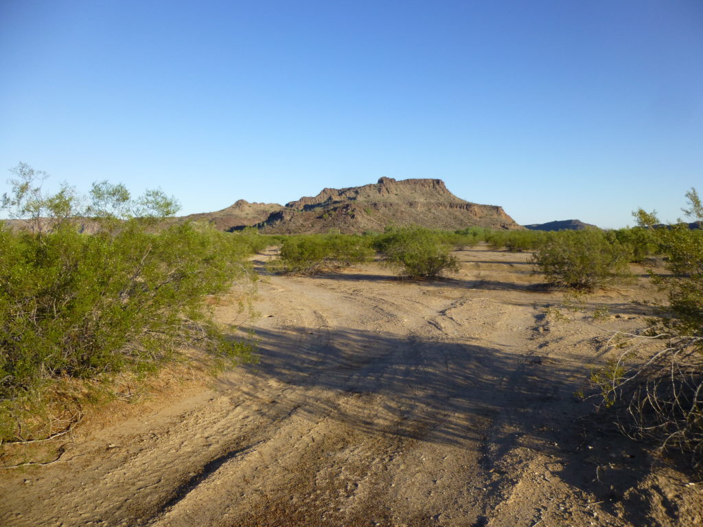 Looking north. Our cache point would be at the base of the