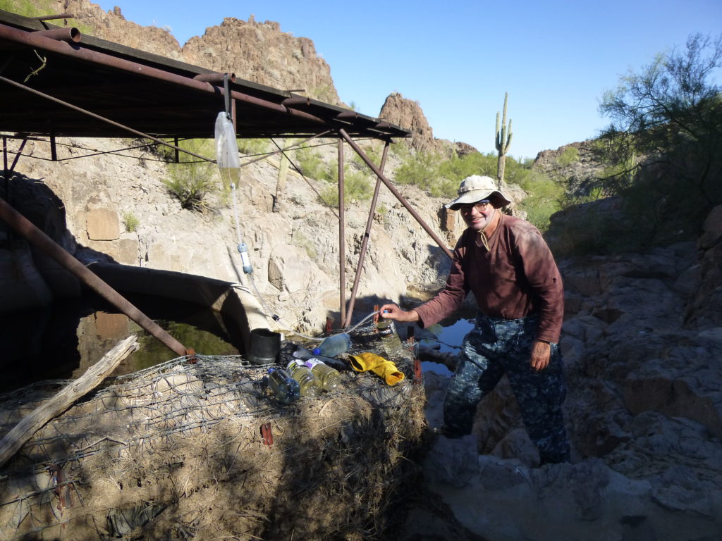 Filtering water - the dirty water is in the upper bladder.