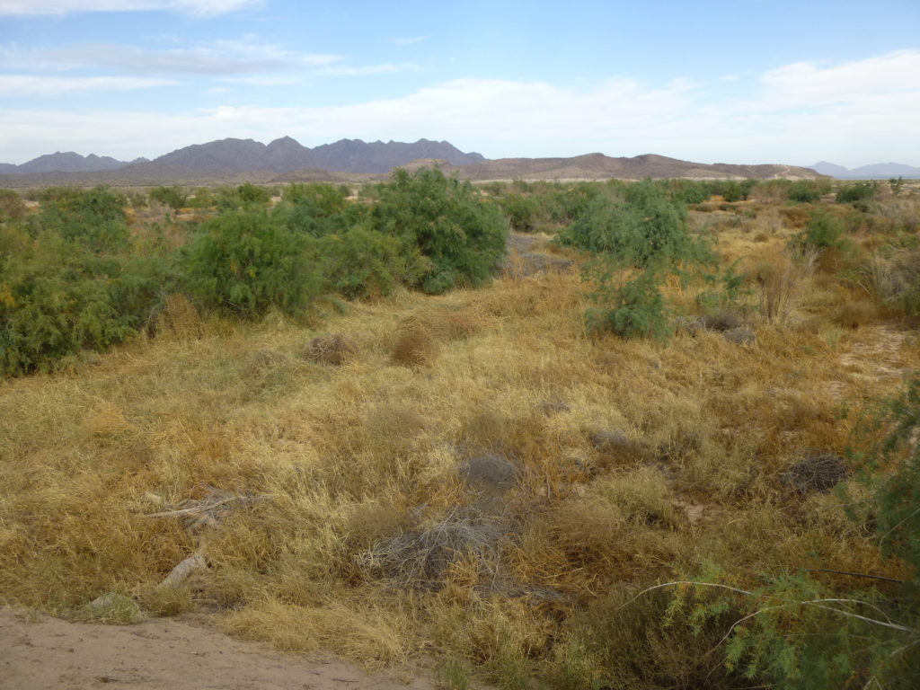 The dry bed of the Gila River
