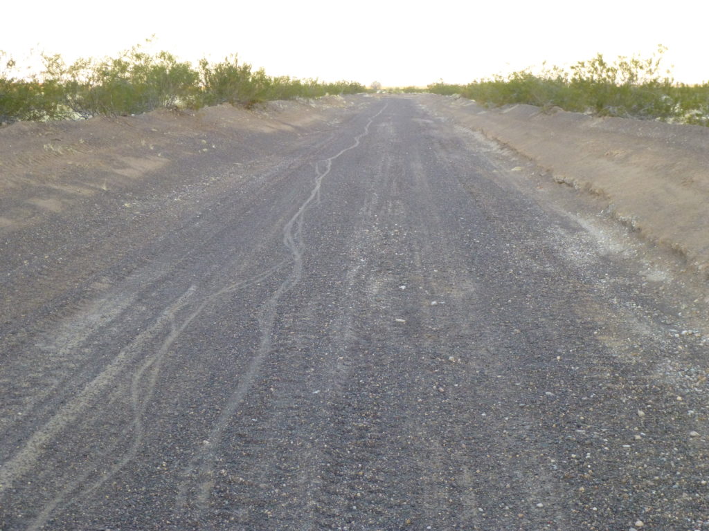 Our bike tracks on the road
