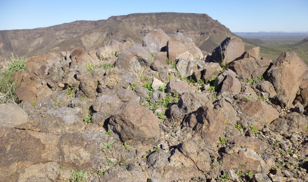 Summit of Peak 1690