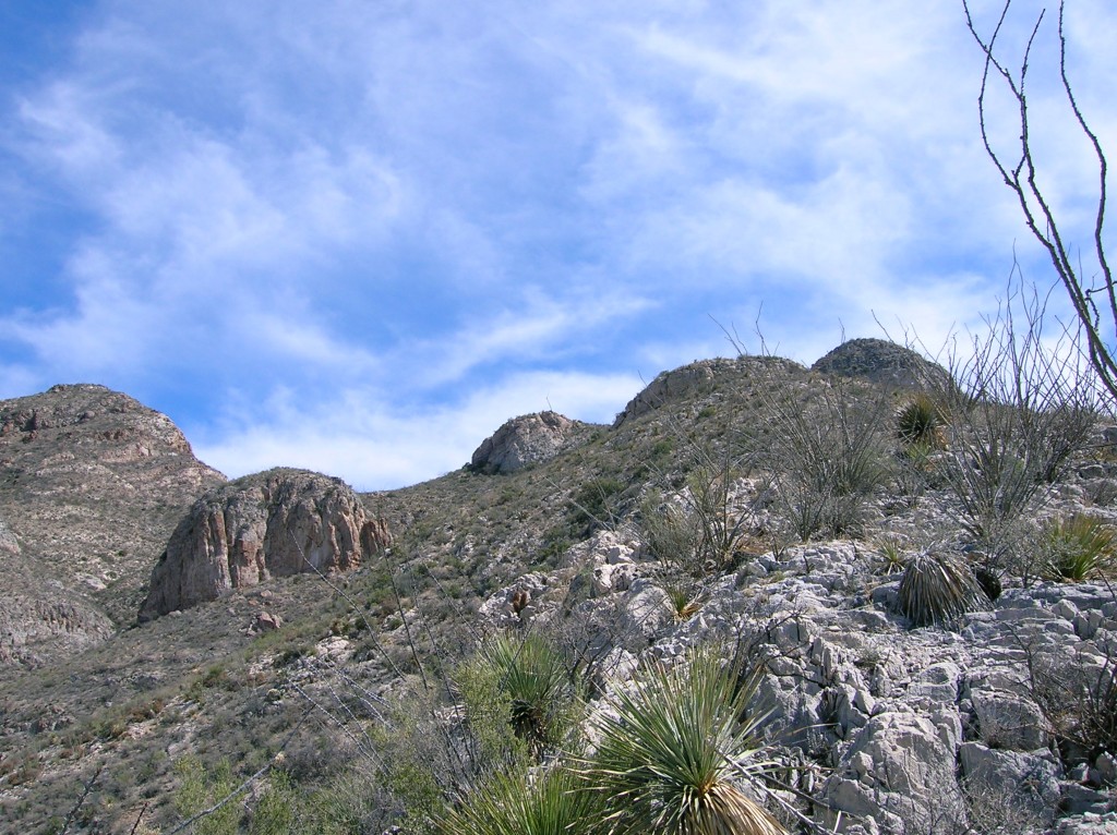 cabullana8